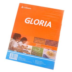 REPUESTO GLORIA - CUADR. 48 HS