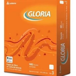 REPUESTO GLORIA - RAYADO480 HS