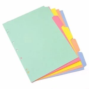 SEPAR.DE CARTUL.A4 5 POS COLOR